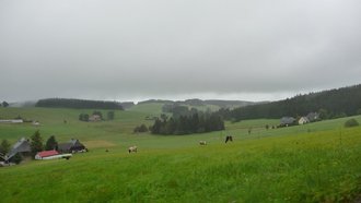 Schönwälder Hochfläche