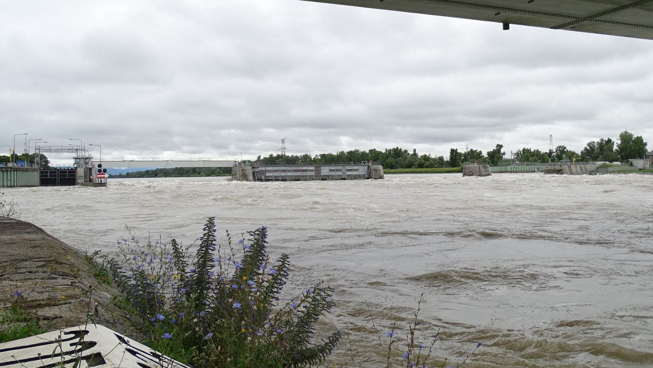 Hochwasser am Kulturwehr in Breisach