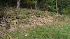Freigestellte Trockenmauer im Naturschutzgebiet Innerberg