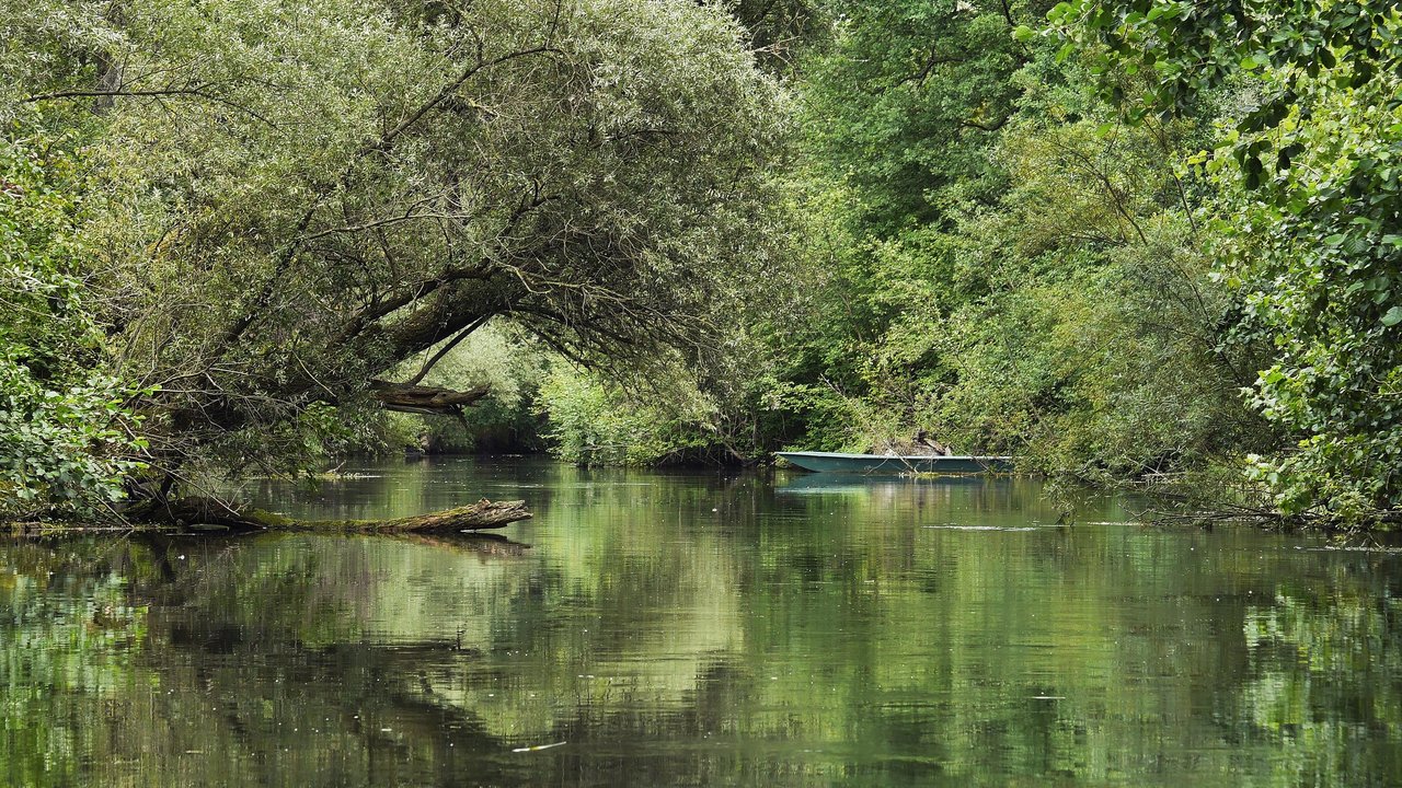 Eine Naturaufnahme aus Taubergießen