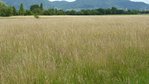 Kammbach-Senke Kammbach-Senke