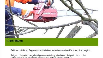 Deckblatt-Merkblatt-Entastung Entasten eines Baumes
