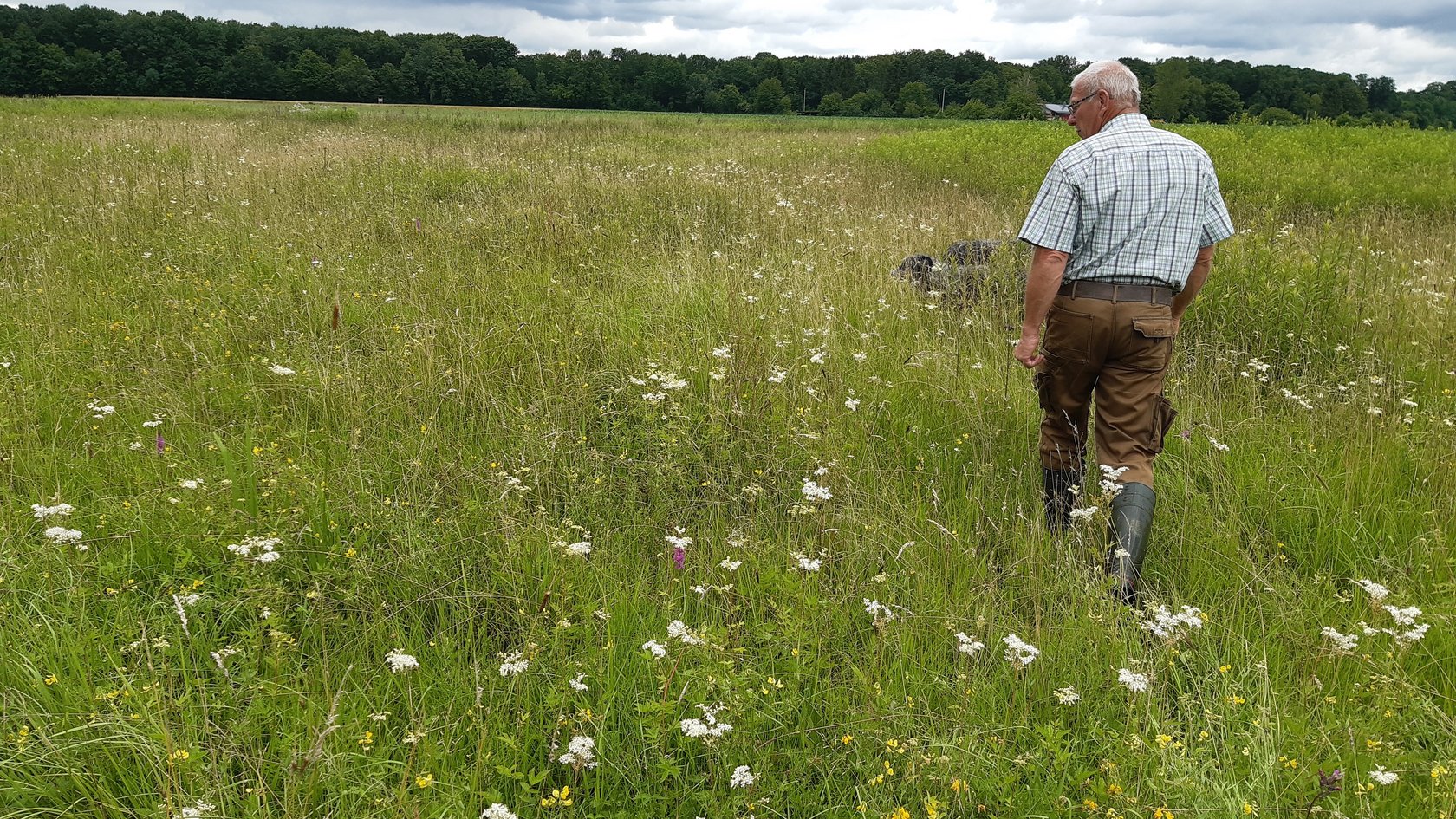 Der Betriebsinhaber steht in einer Wiese