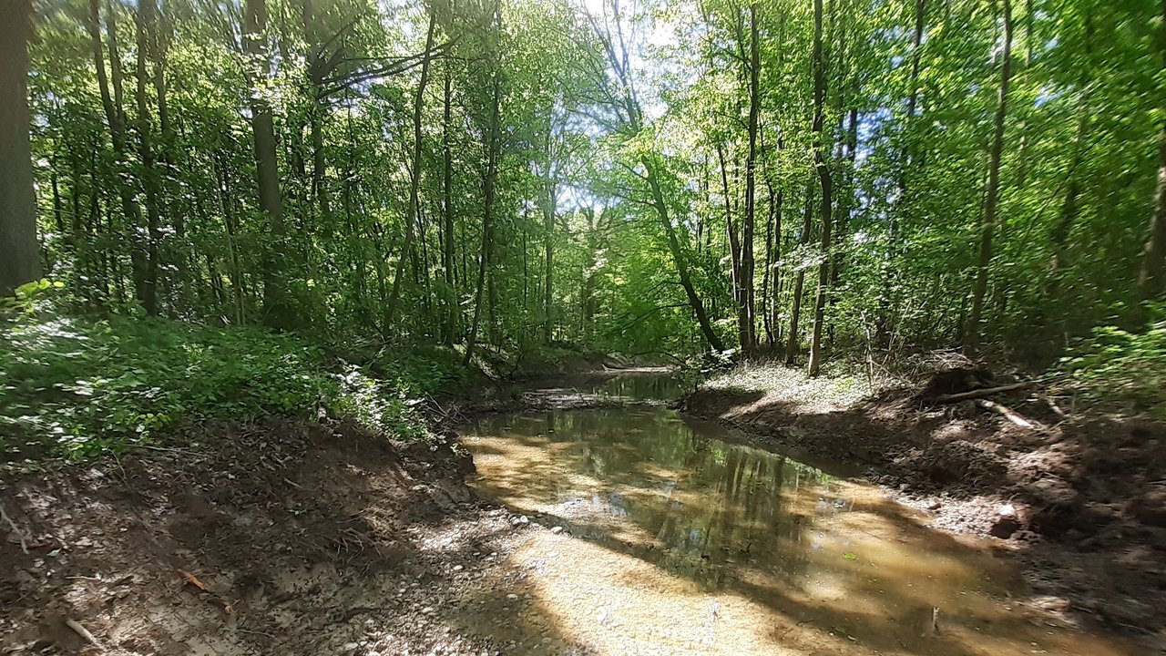 Ein Fließgewässer im Wald