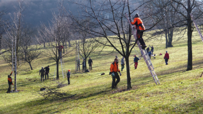 Mehrere Personen bei der Fachwarte