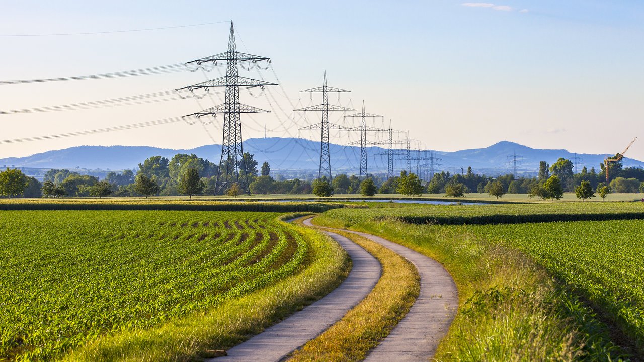 Eine Stromtrasse verläuft über ein Feld
