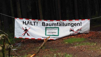 Absperrbanner für die Holzernte