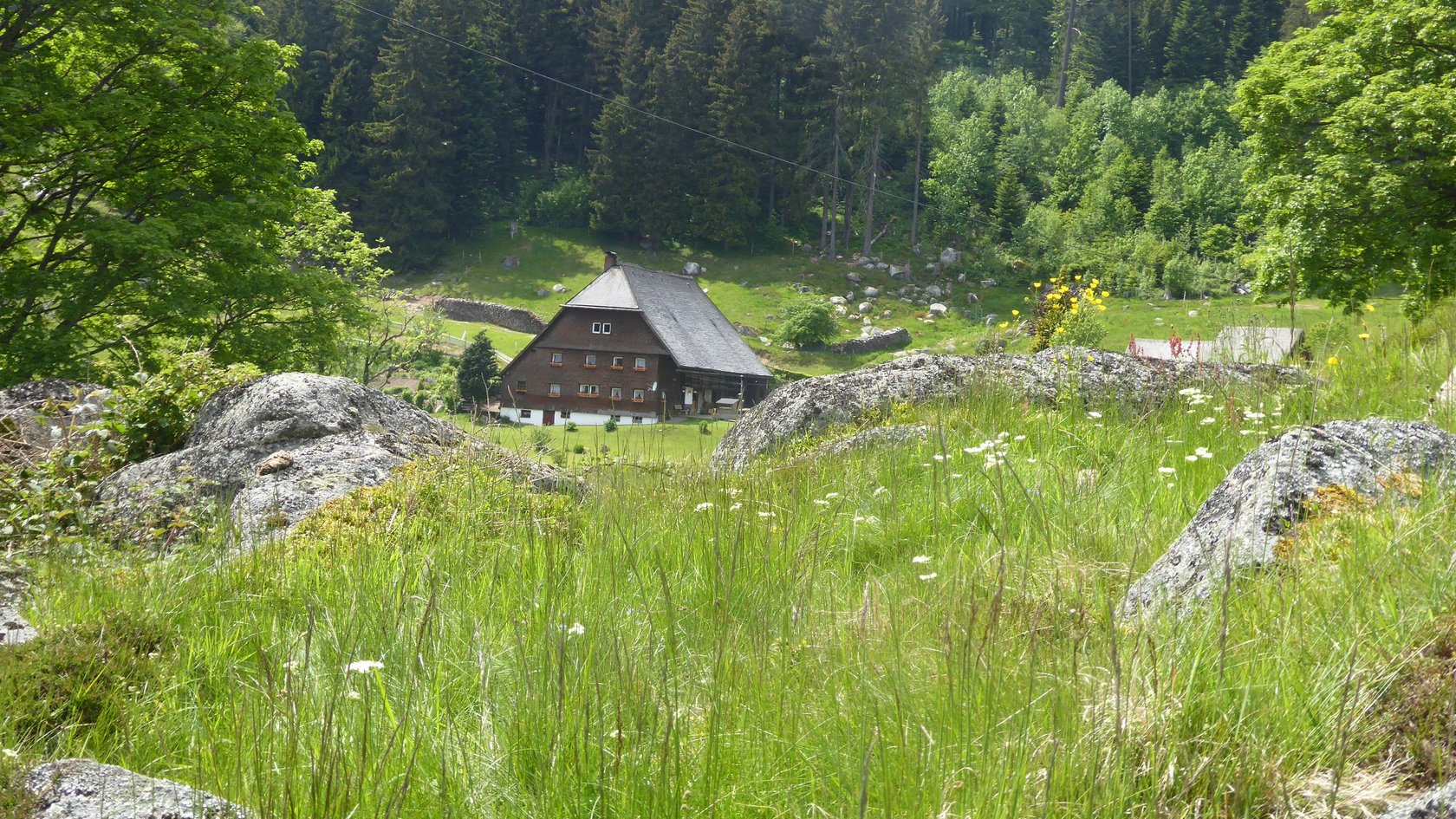 Ein Haus steht im Grünen