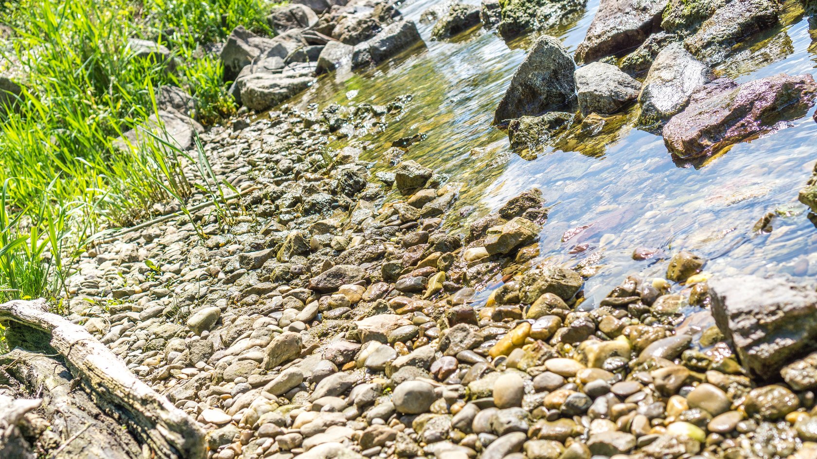 Die Donau fließt über Steine, ein bisschen Ufer ist zu sehen