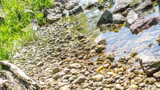 Die Donau fließt über Steine, ein bisschen Ufer ist zu sehen