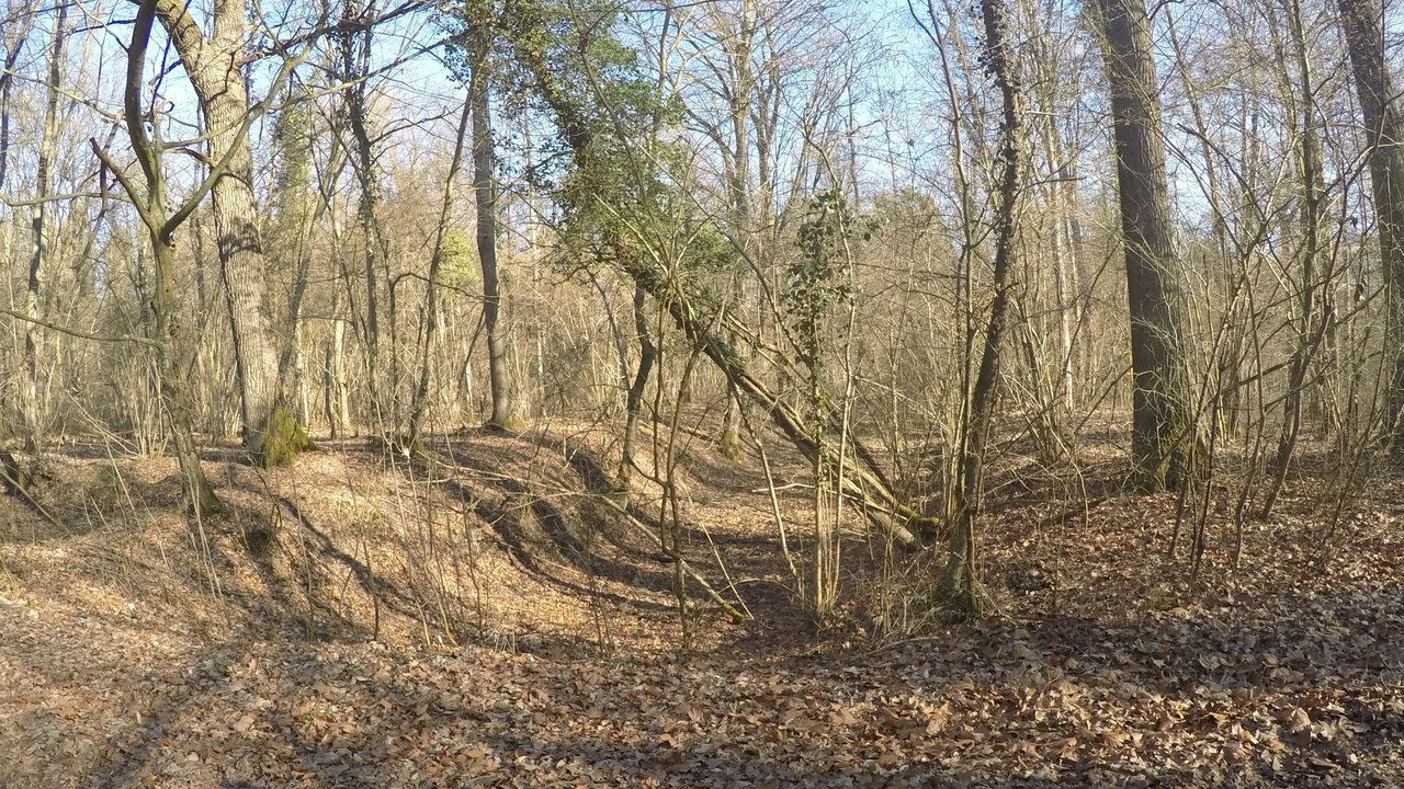 Schlutendurchlass im Auwald 