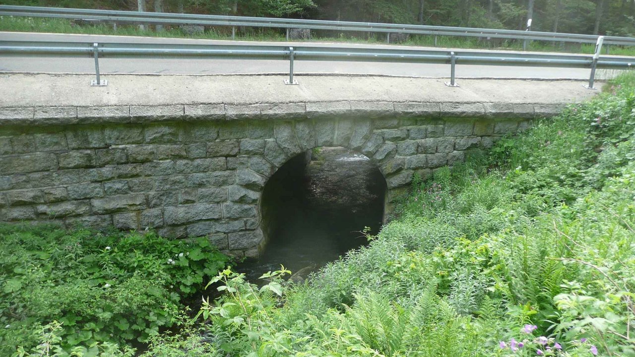 Brücke im Wald