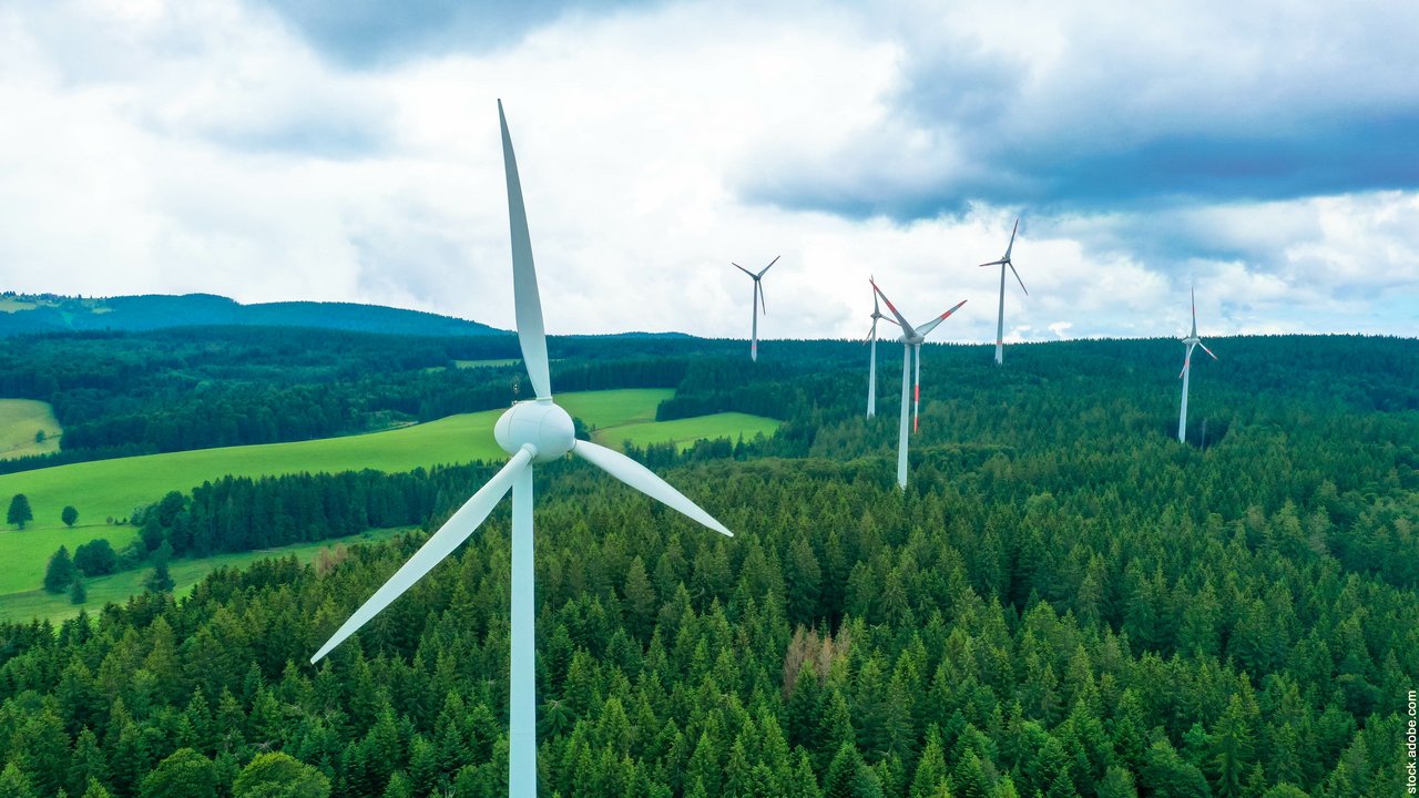 Mehrere Windräder im Wald