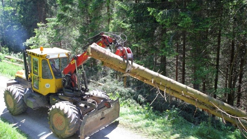 Forstspezialschlepper Forstspezialschlepper bewegt einen Baumstamm