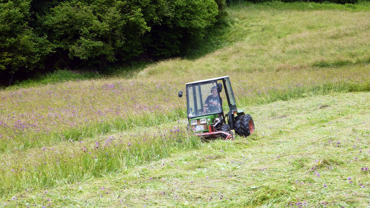 Ein Mann mäht mit einem Fahrzeug die Wiese