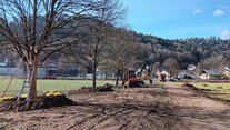 Foto 5 Ausgleichsmaßnahme A15 entlang Feldweg mit extensivem Saumstreifen