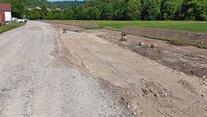 Foto 9 Phase 3-4: Maschinelle Großbaumverpflanzung von Alleebäumen und Baubeginn