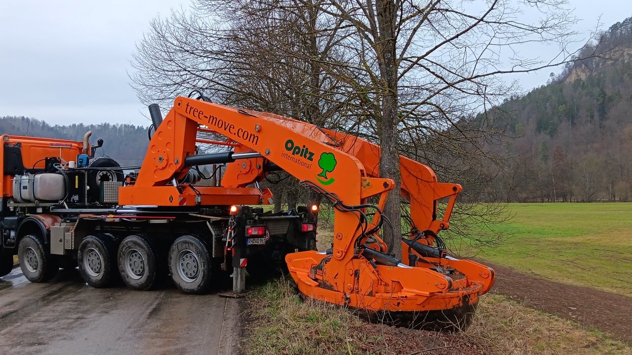 Baumarbeiten mit einem Lastkraftwagen