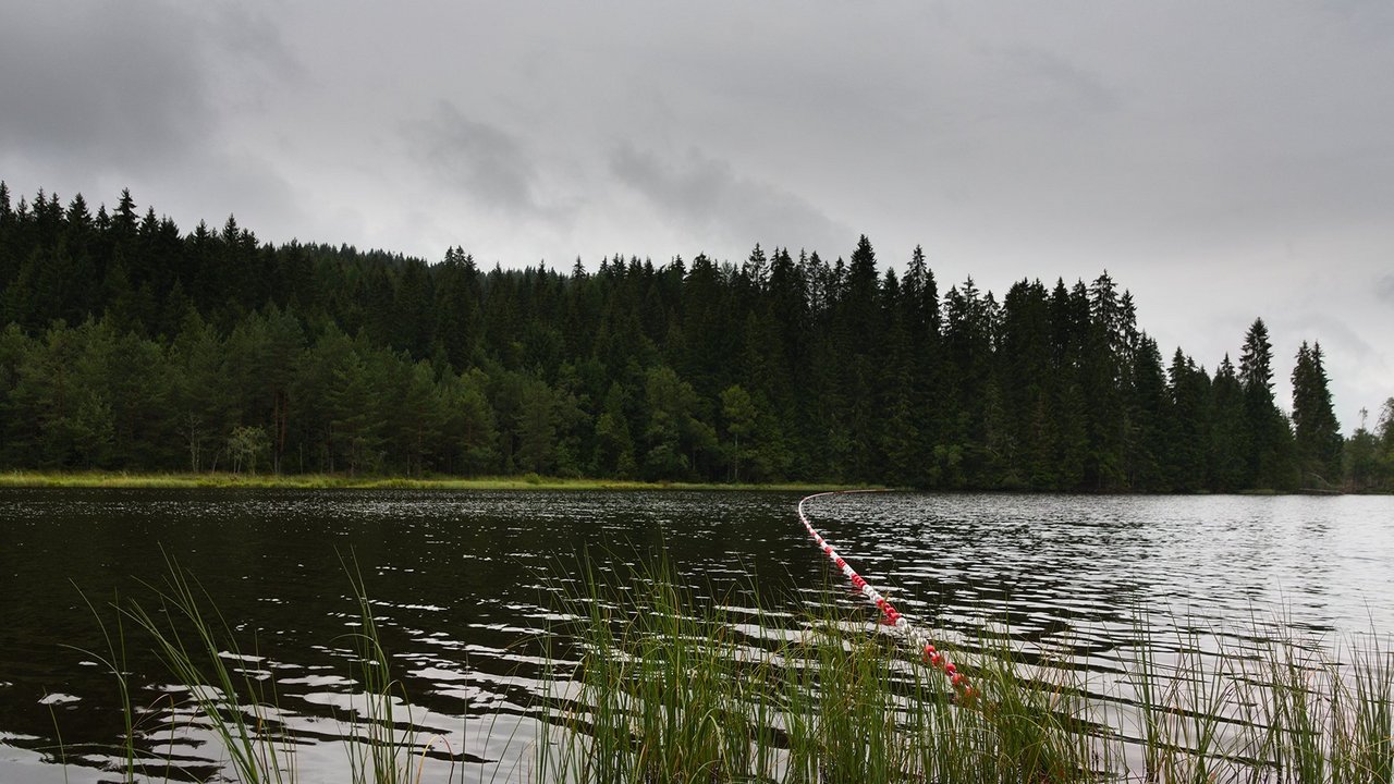 Windgfällweiher