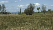 Naturschutzgebiet Graues Ried Naturschutzgebiet Graues Ried