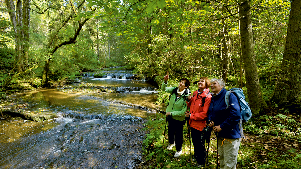 Wutachschlucht Wandern in der Wutachschlucht