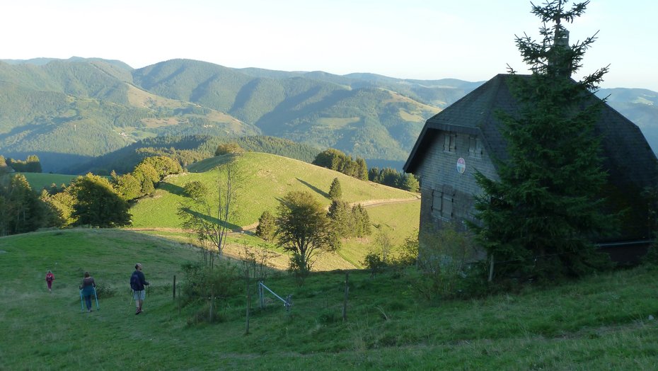 Belchen Stuhlsebene Wanderer sind auf dem Belchen unterwegs