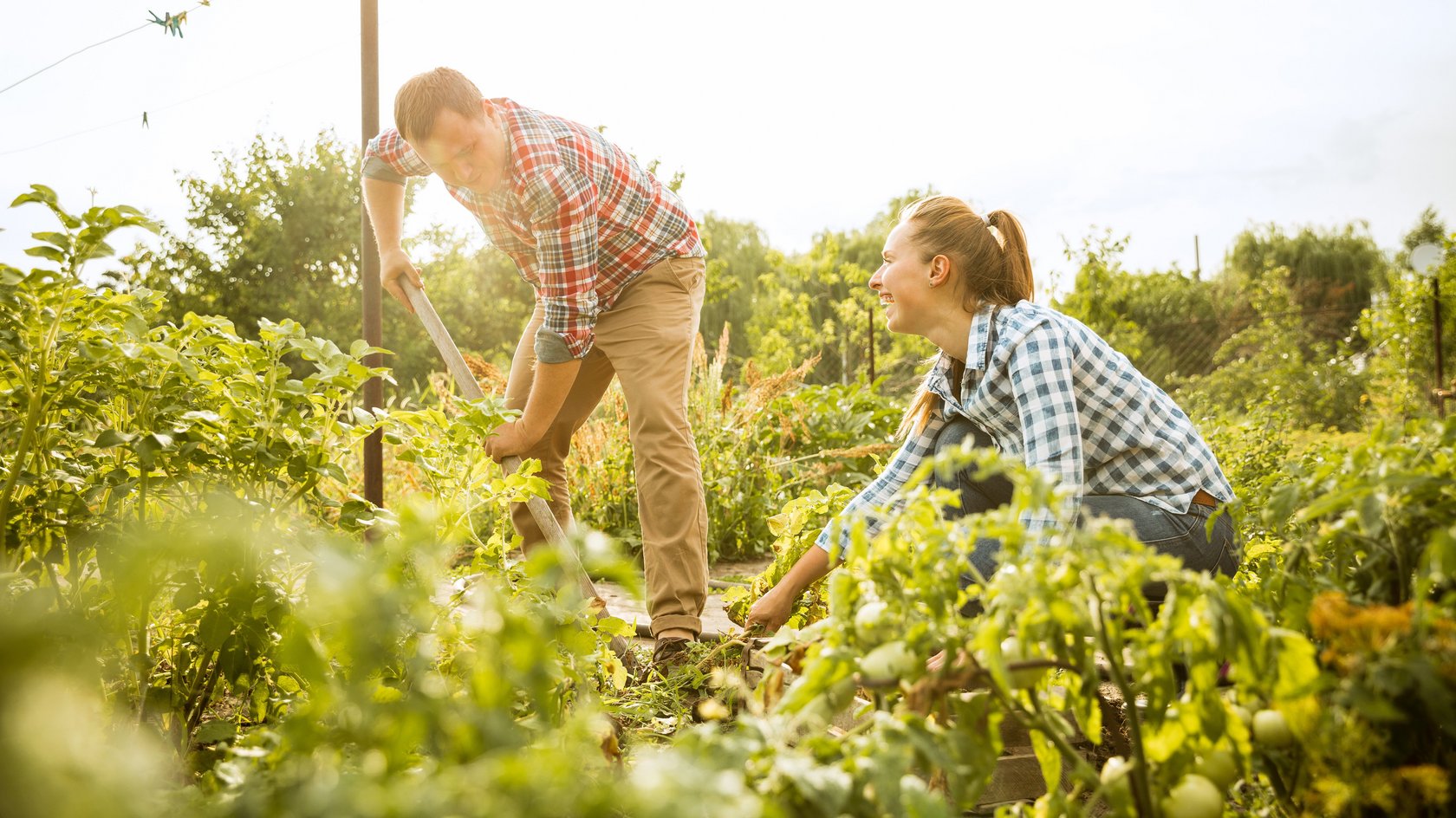 Ein Mann und eine Frau beim Gärtnern