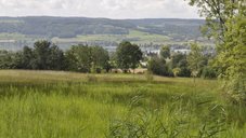 Naturschutzgebiet Hangried Schrännen