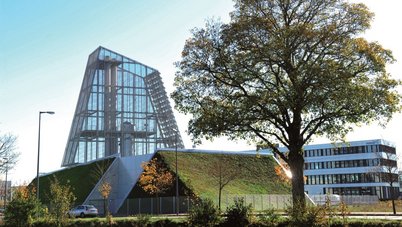 Verglaste Industrieanlage neben einem Baum