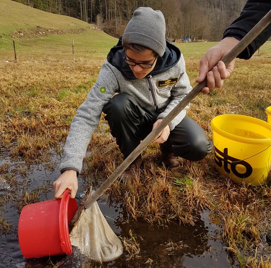 Ein Junge hält eine Schüssel neben einen Kercher in einem Tümpel 