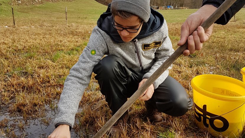 Ein Junge hält eine Schüssel neben einen Kercher in einem Tümpel 