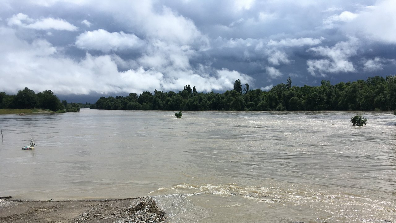 Die kürzlich tiefergelegte Fläche auf Höhe von Grießheim neben dem Hauptstrom des Rheins im Rückhalteraum Weil-Breisach wurde überströmt