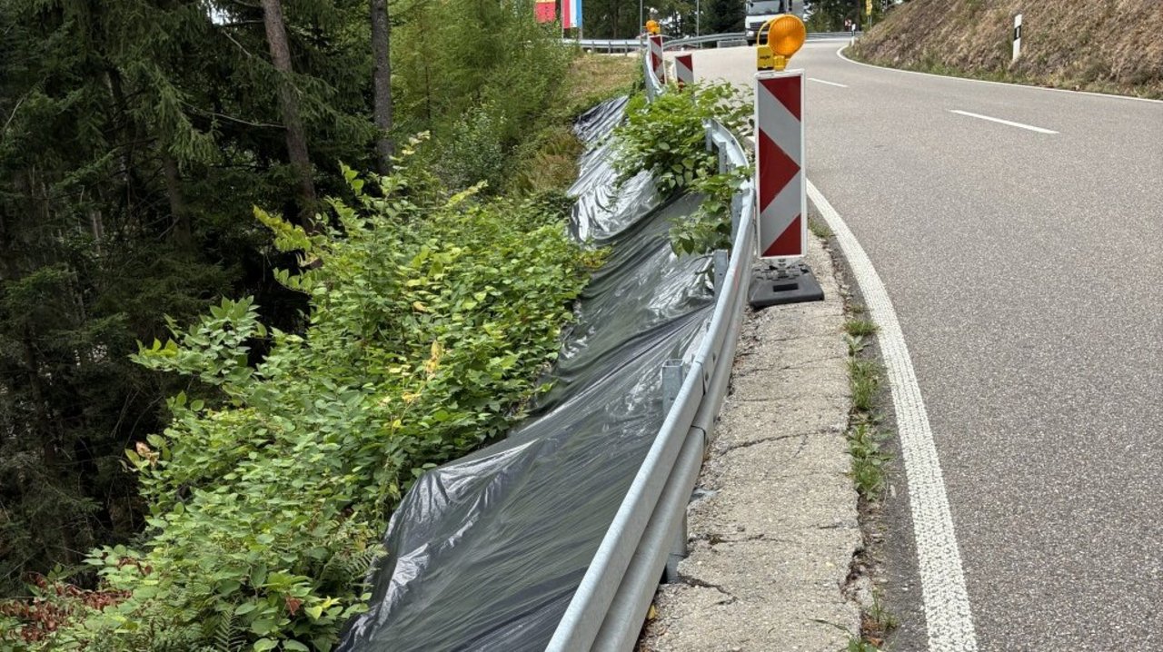 Straßendamm an der Grießbacher Steige