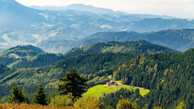 Schwarzwald 