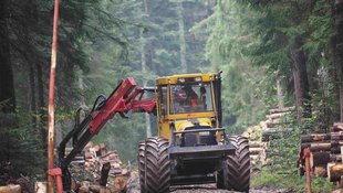 Forstspezialschlepper beim Holzrücken Forstspezialschlepper beim Holzrücken