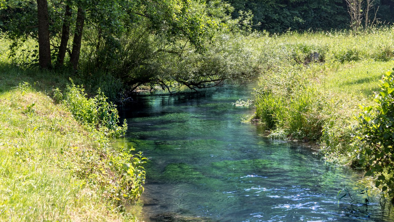 Bach in der Natur