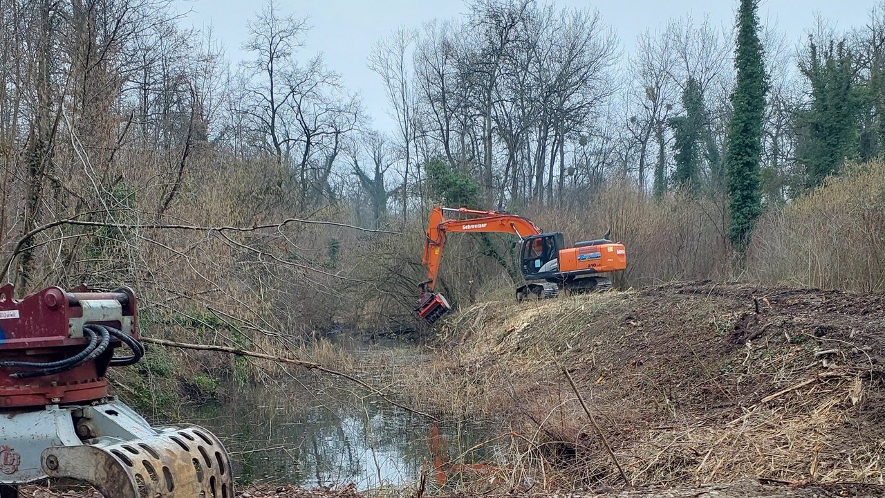 Ein Bagger im Rheinwald