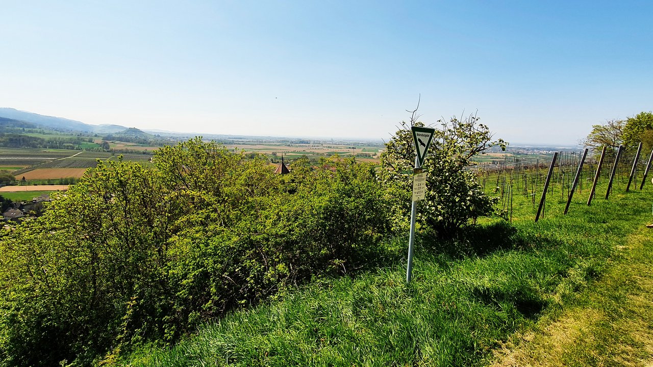 Naturschutzgebiete im Regierungsbezirk Naturschutzgebietsschild vor einer Landschaft mit Reben und Wald