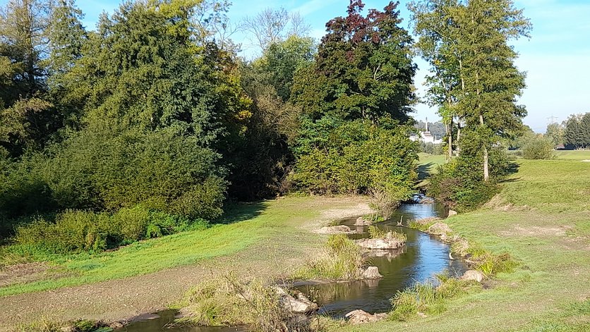Der Feuerbach bei Riegel am Kaiserstuhl nach der Revitalisierung
