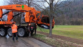 Platzieren der Greifzange am unteren Stamm