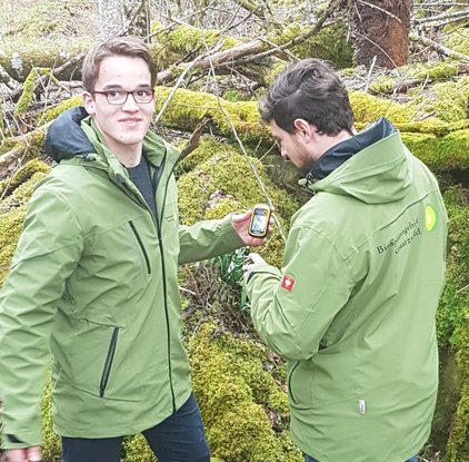 Ranger Florian Schmidt und FÖJler Tom Killius im Wald Zwei junge Männer stehen im Wald mit einem Smartphone