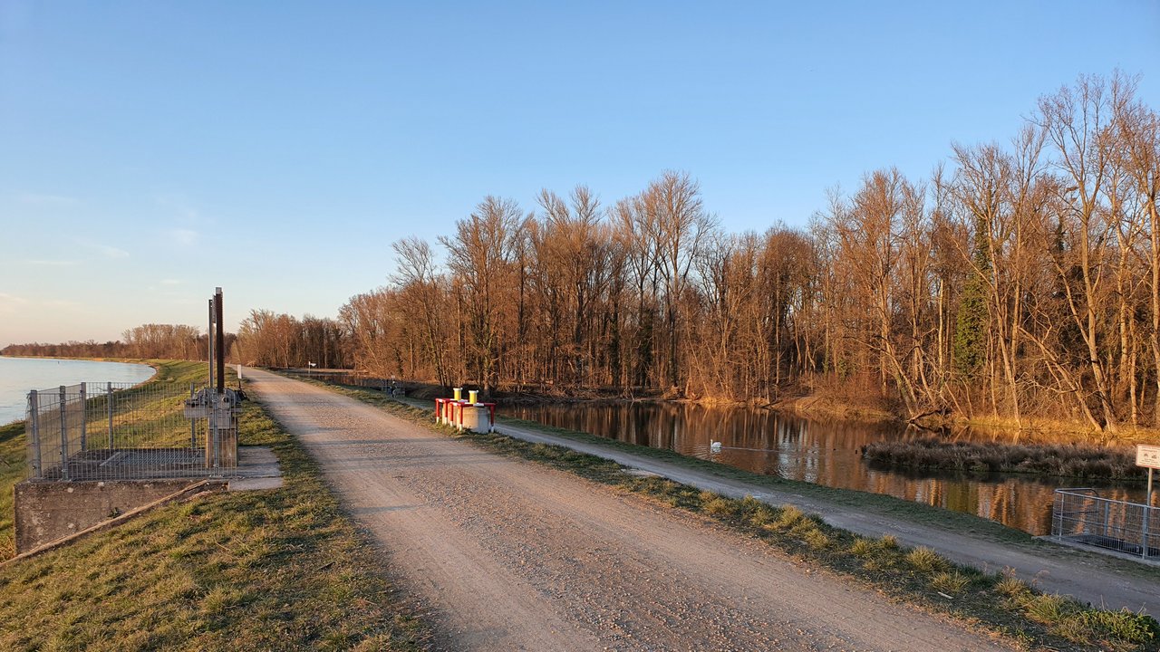 Rheinufer bei Breisach
