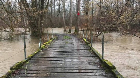 Ein Steg im NSG Taubergießen ist fast im Wasser