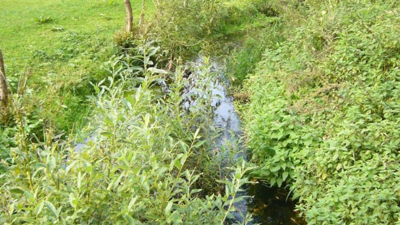 Kleines Fließgewässer