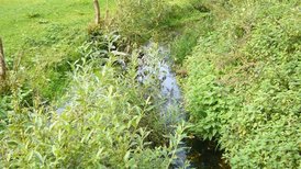 Kleines Fließgewässer