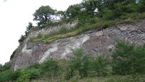 Rheinniederung Rheinniederung