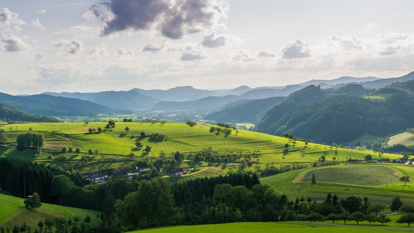 Blick in den Schwarzwald