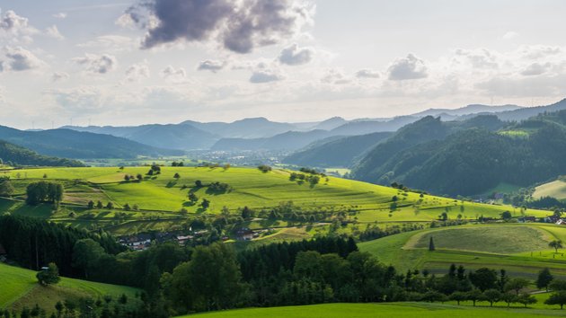 Blick in den Schwarzwald