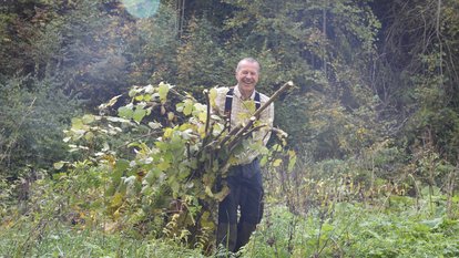 Der Wutachranger trägt Gestrüpp weg