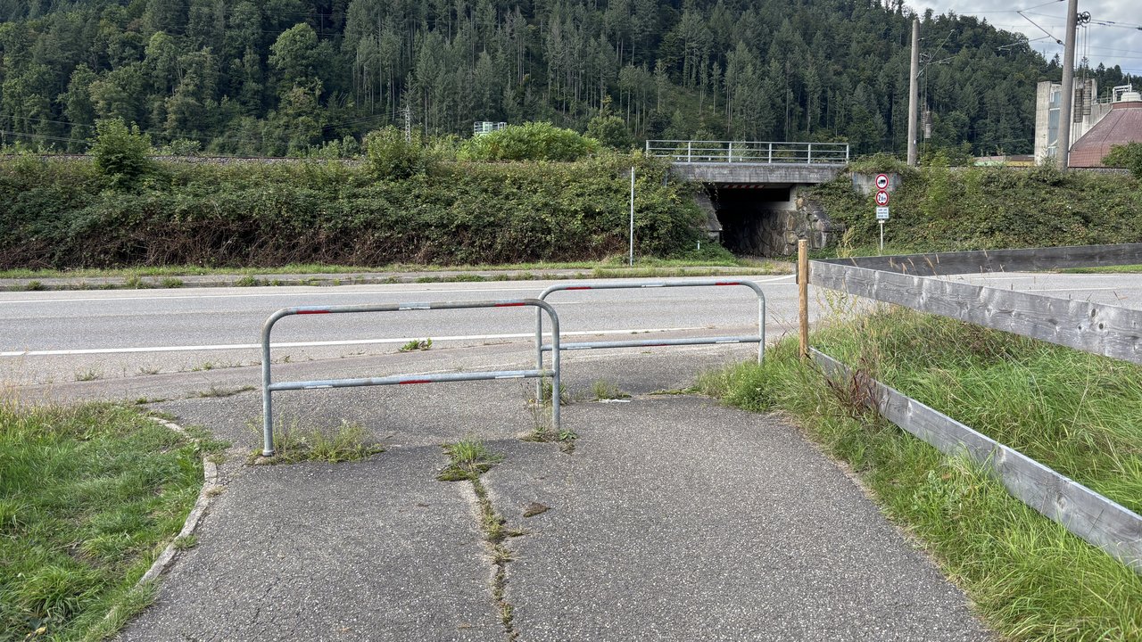 Bau einer Bedarfsampel an der B 33